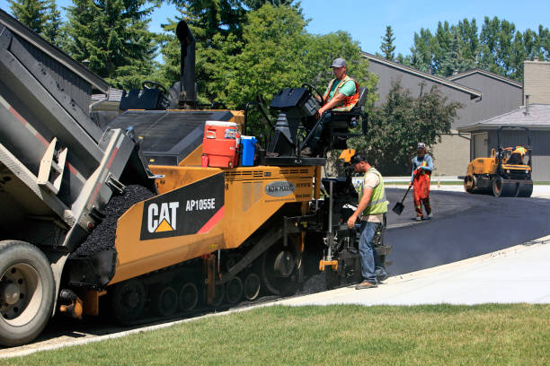 Best Custom Driveway Pavers  in Dexter, MO